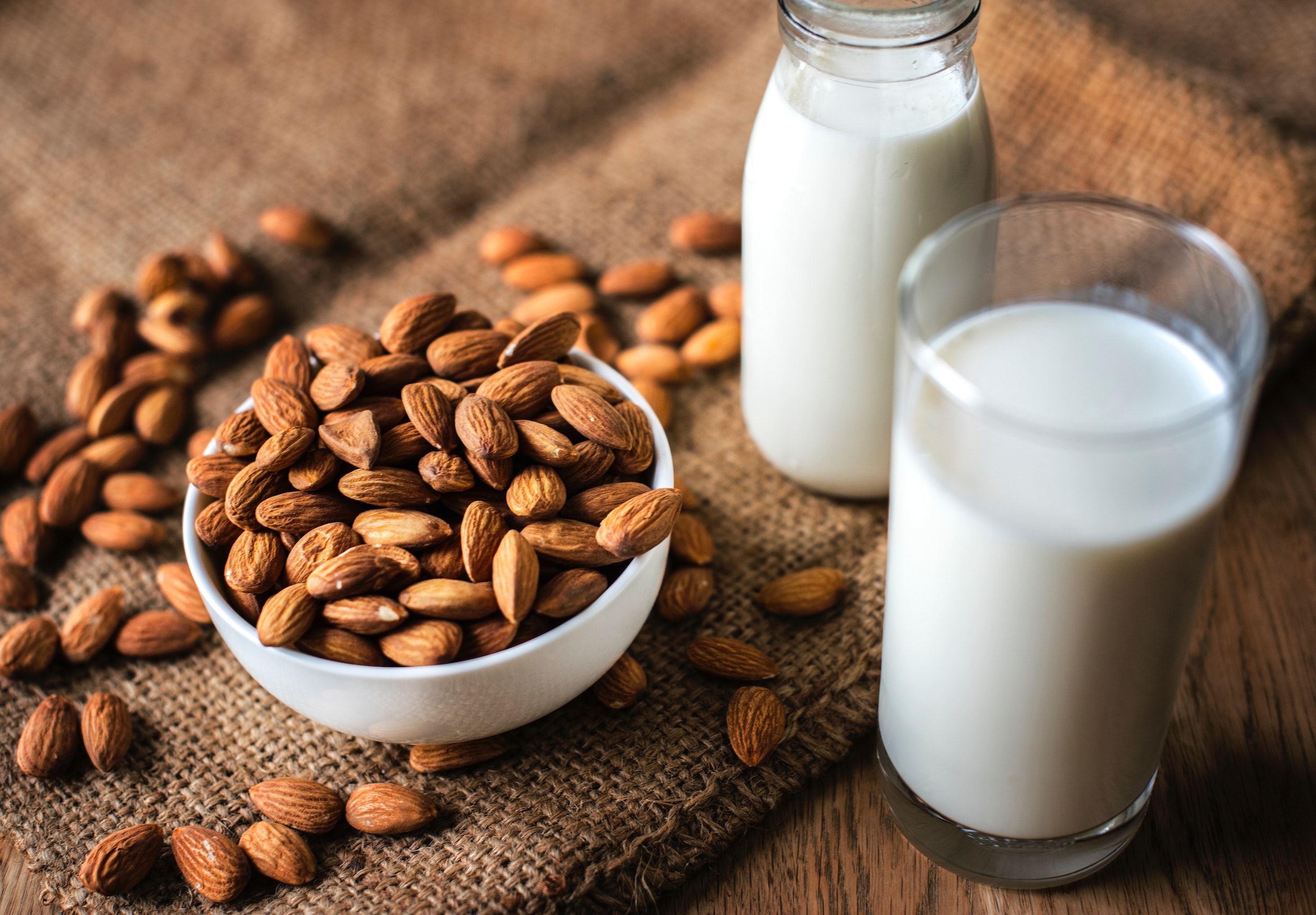 a-guide-to-the-best-dairy-free-milks