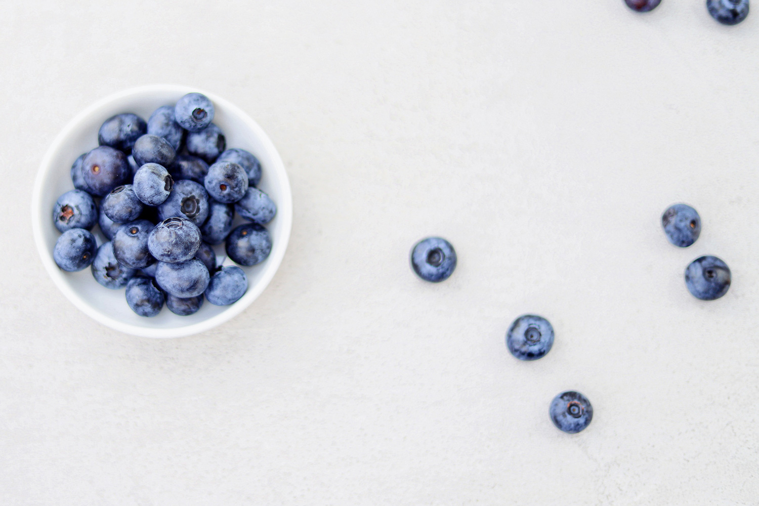 small pot of blueberries